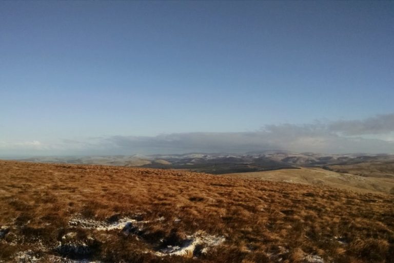 Peatland Restoration