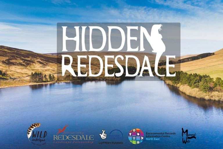 Hidden Redesdale - Wild Intrigue