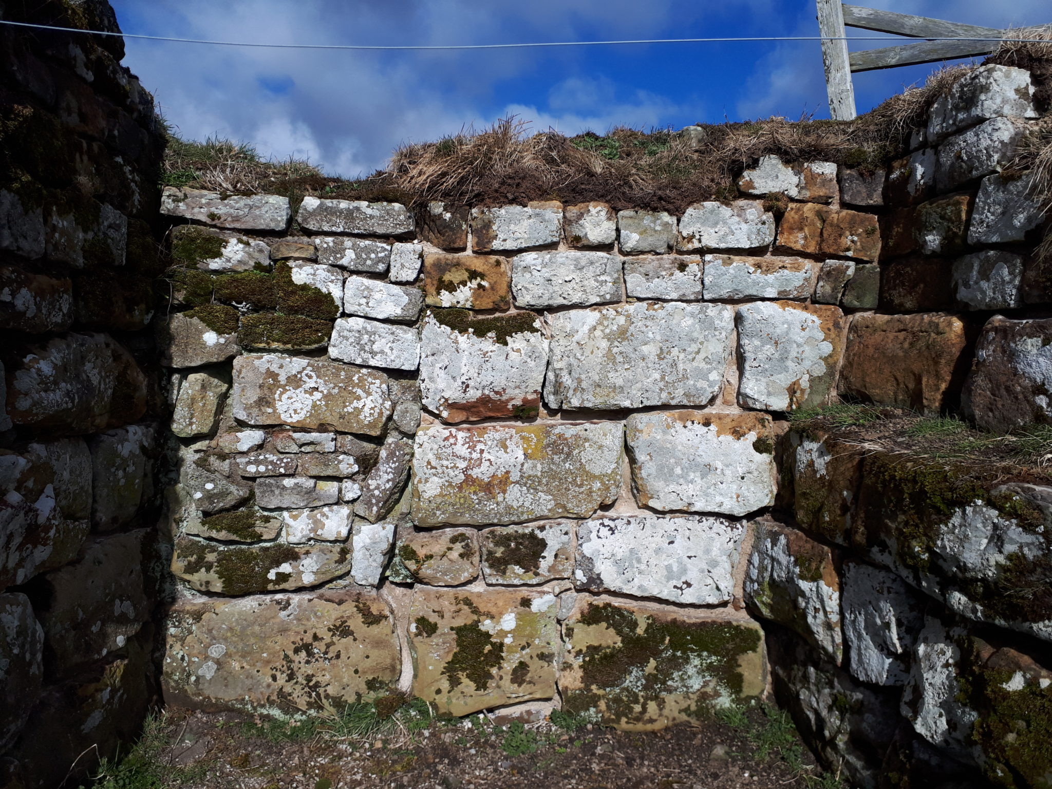 High Rochester: At the Edge of Empire - Revitalising Redesdale