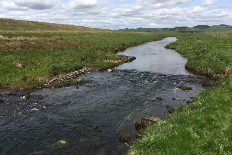 The River Rede
