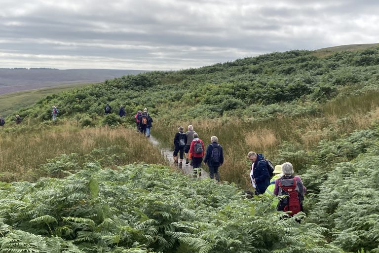 Walking in Redesdale
