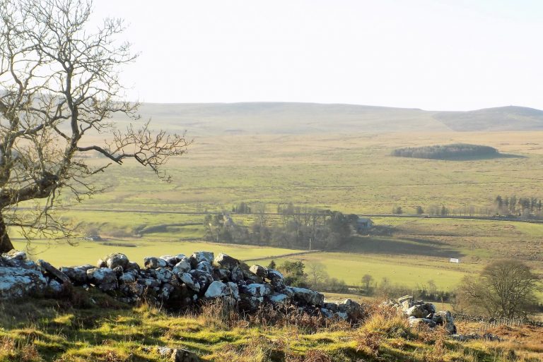 The Redesdale Society